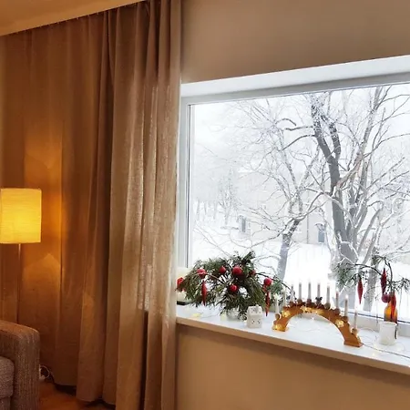 Matisa Street Studio In The City Center Apartment Riga